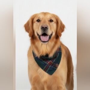 NEW! SOUTHERN LIVING REVERSIBLE ROD BANDANA- PLAID- xs/small NWT